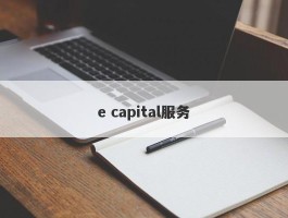 e capital服务